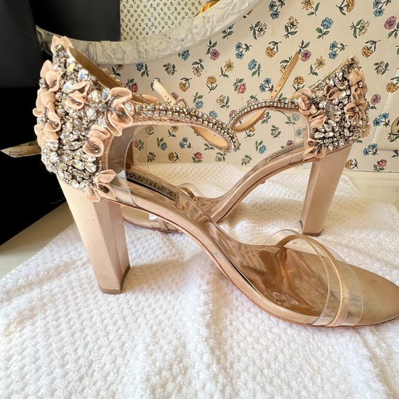 Gorgeous Blush and Jeweled Badgley Mischka Fernanda Heeled Sandals - Sz 9.5 - Picture 1 of 5